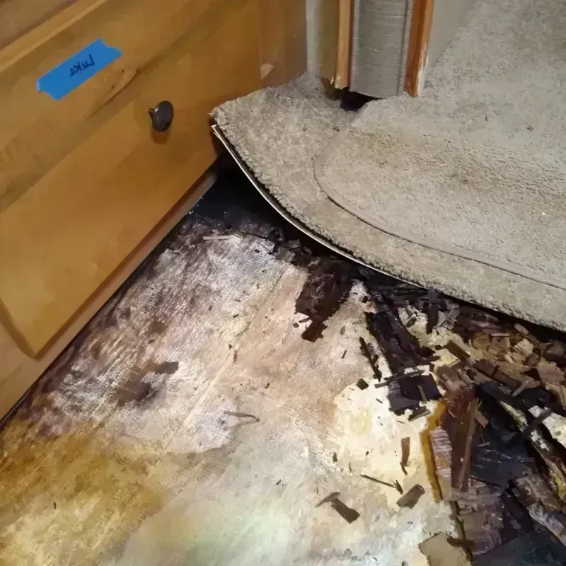 Wood Floor Water Damage in Jackson County, MS